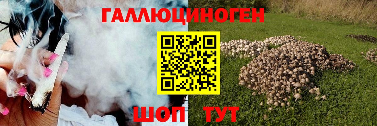 Грозный  Галлюциногенные грибы мицелий  Вход с VPN  Псилоцибиновые грибы Magic Shrooms 