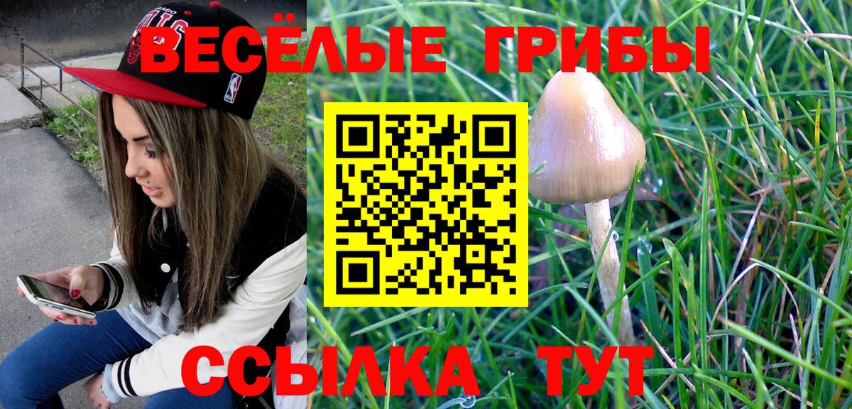 Псилоцибиновые грибы прущие грибы Грозный