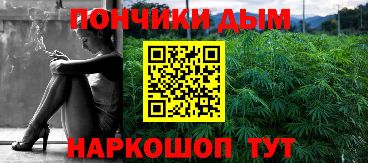 Канабис ГИДРОПОН Грозный